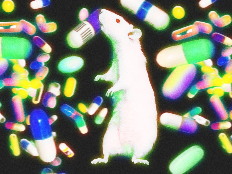 In a Recent Study, Taurine Supplements Extended the Lives of Mice. Which Is Great News&#8212;For Mice